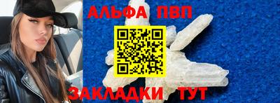 спиды Кингисепп